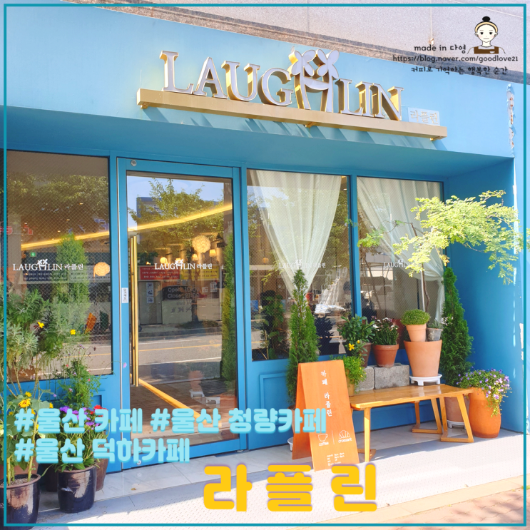  빵이 정말 맛있었던 초록식물가득한 울산 덕하카페 라플린