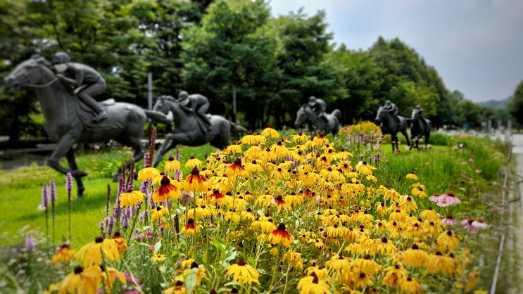 이쁜 꽃과 나비들 덕분에 7월에도 가볼만한 서울숲