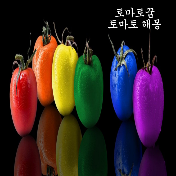  토마토 꿈 해몽 - 방울토마토꿈 토마토태몽 큰토마토꿈  토마토씻는꿈