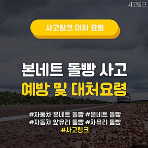 본네트 돌빵, 어떻게 대처해야 할까?