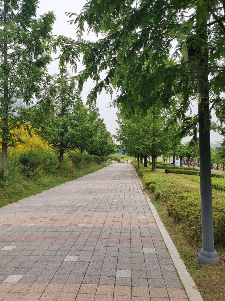  산책의 즐거움 [운정호수]