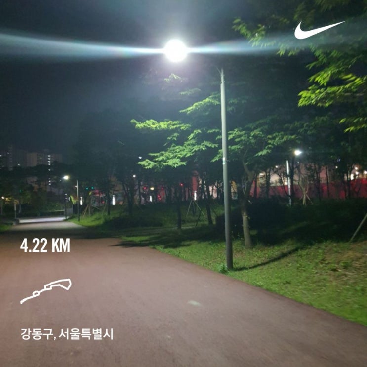  29주 0일차 임산부 운동 _만보걷기