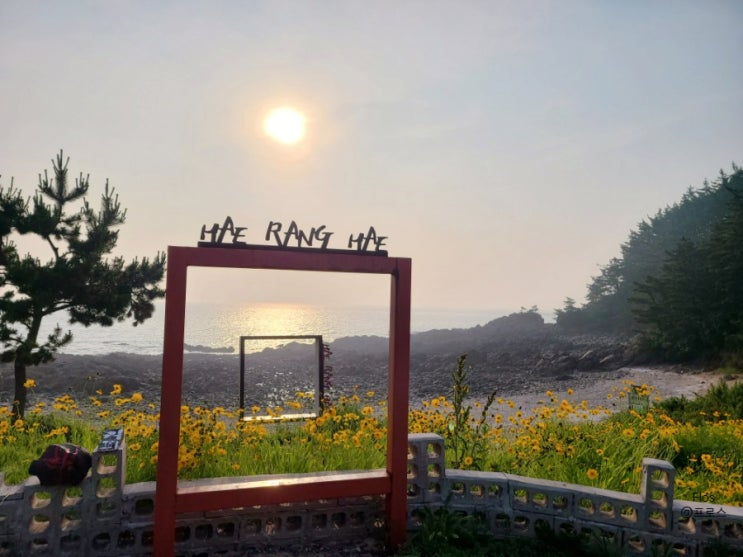  인생샷 포토존이 있는 태안카페. 오션뷰가 너무 예쁜 해랑해카페. 돈까스와 치즈볼도 너무 맛있어요!