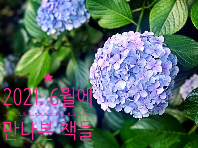 2021. 6월과 함께한 책들 2021. 6월과 함께한 책들