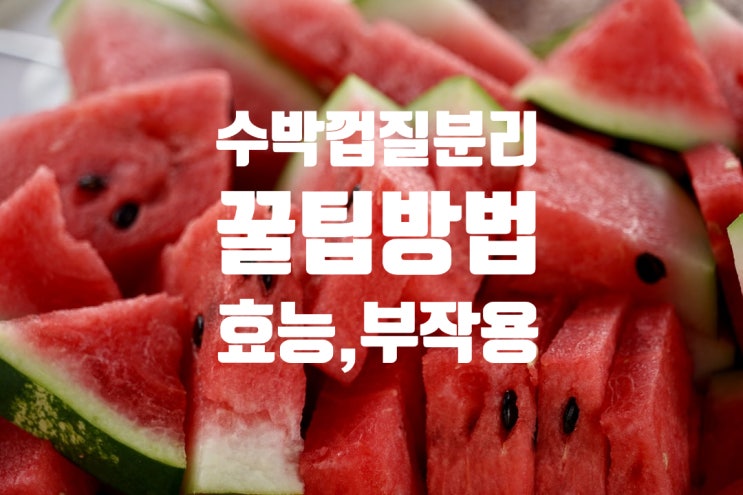  수박껍질 분리수거 방법 일반쓰레기 음식물쓰레기 ? 잘게 썰기 효능 11가지 부작용 부종