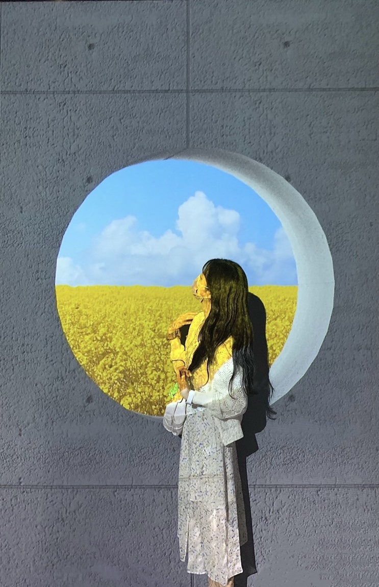 [전시회] 제주, 아르떼뮤지엄 c / 인생샷 포즈 추천 / 비 오는 날 실내 관광지 / 티바 후기 / 서쪽 애월 가볼 만한 곳