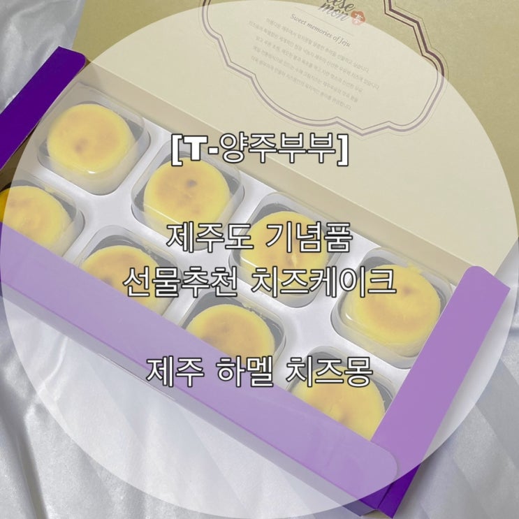  [T-양주부부] 제주도 기념품 선물추천 치즈케이크  제주 하멜 치즈몽