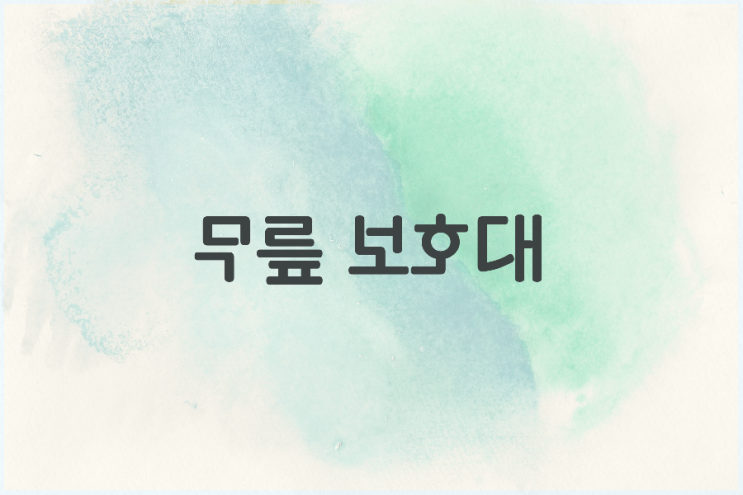 무릎 관절 보호대 무릎 관절 보호대