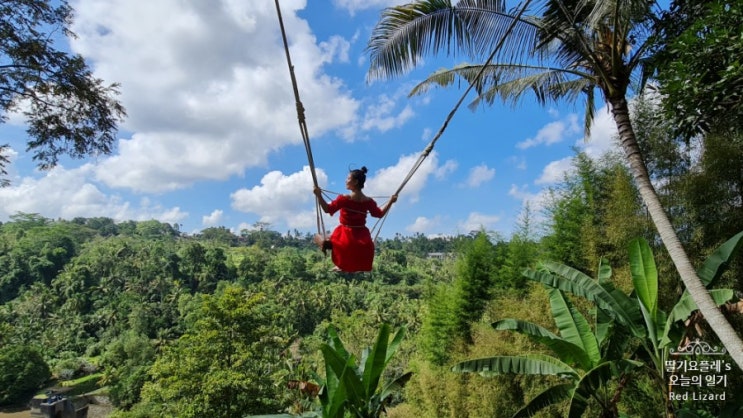  발리 여행 둘째날 일정 : 발리스윙(Bali Swing), 따나롯 사원(Tanah Lot), 짱구 비치(Canggu Beach),   몽키 포레스트(Monkey Forest)