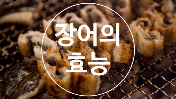  장어 효능, 꾸준히 먹어야 하는 이유!!