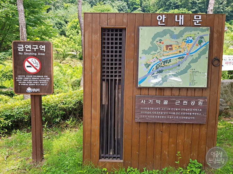  숲 향이 가득한 성남 사기막골 공원 탐방기
