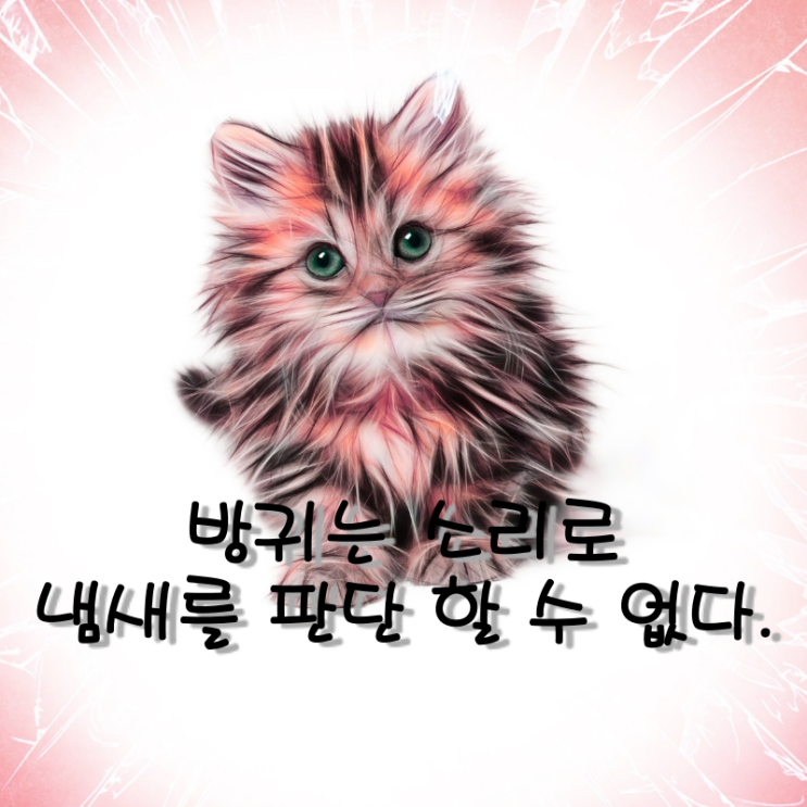  방귀는 소리로 냄새를 판단할 수 없다.