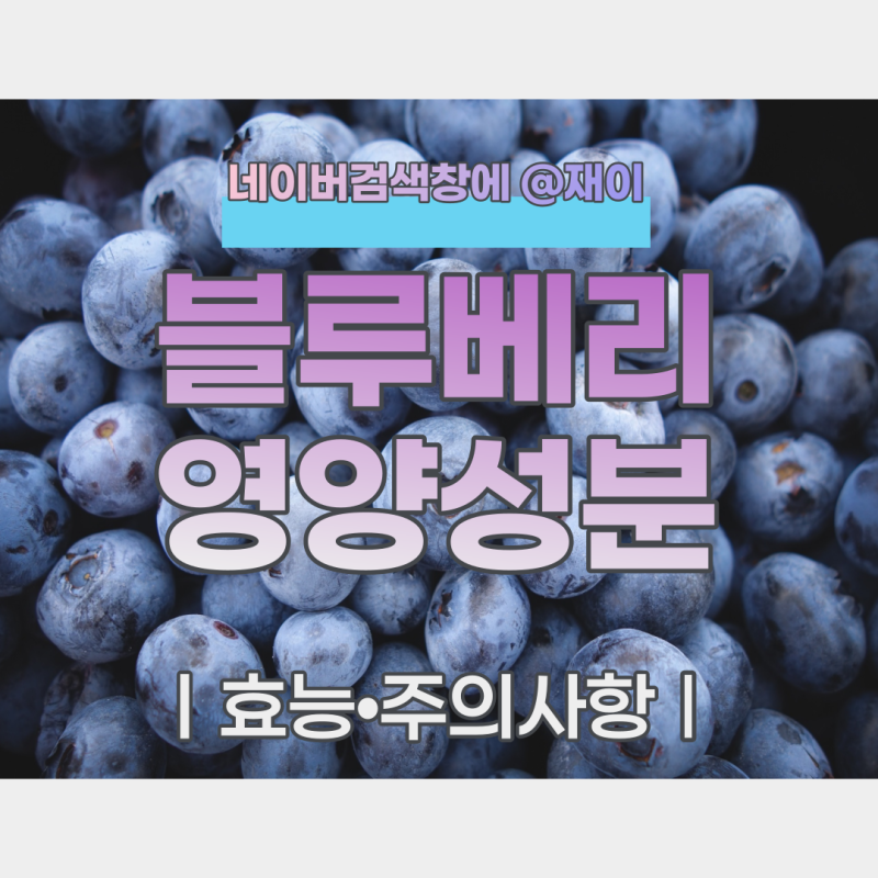 블루베리효능 7가지 칼로리 영양성분 부작용 섭취량 : 네이버 블로그 블루베리효능 7가지 칼로리 영양성분 부작용 섭취량 : 네이버 블로그
