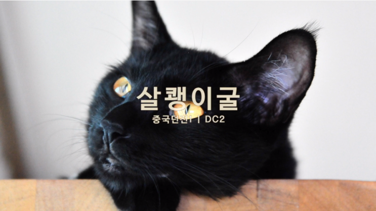 바람의나라 BGM 작곡가 황주은님 유튜브 소개