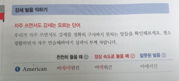  [서평] 서포터즈 4차 미국 영어 발음 무작정 따라 하기