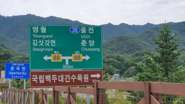  아시아 최대규모의 수목원ᆞ국립백두대간수목원에 호랑이을 아시나요??