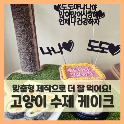  고양이 생일 케이크, 맞춤형 수제간식 잘 먹어요 (f. 리사베이커리 내돈내산)