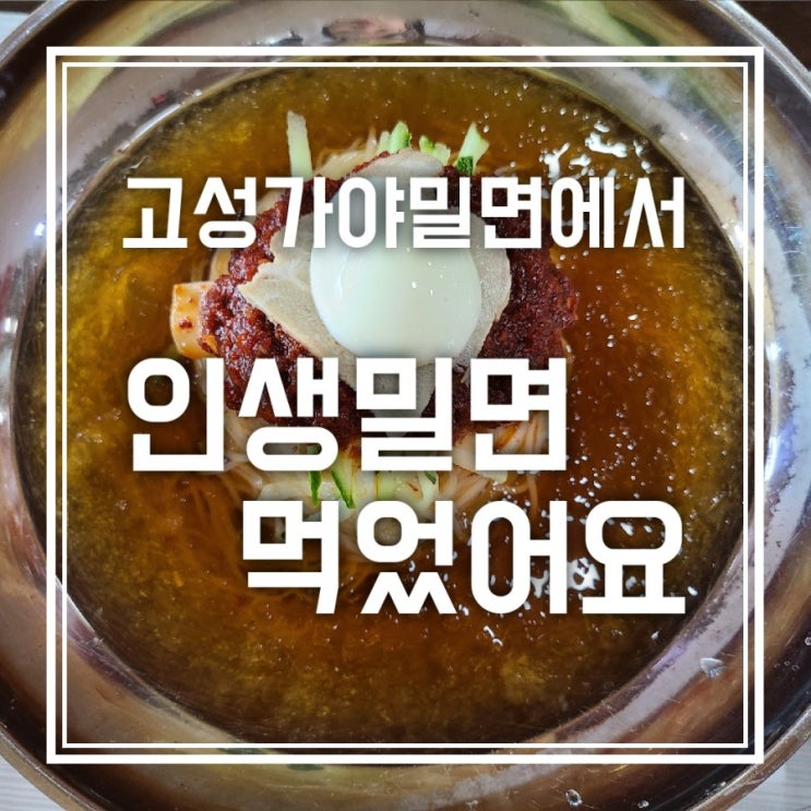 고성 가야밀면에서 인생밀면 먹고 왔어요 고성 가야밀면에서 인생밀면 먹고 왔어요