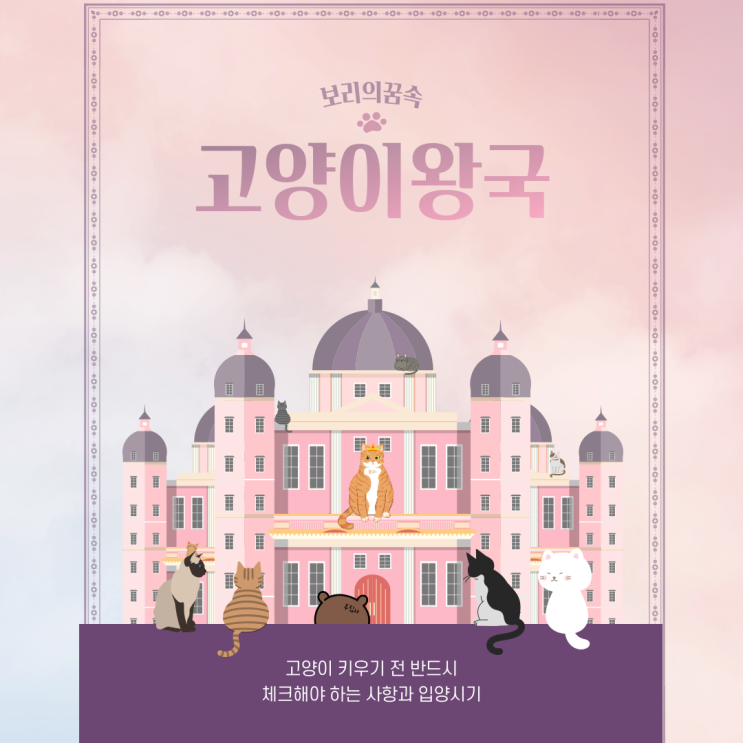  고양이 키우기 전 반드시 체크해야 하는 사항과 입양시기