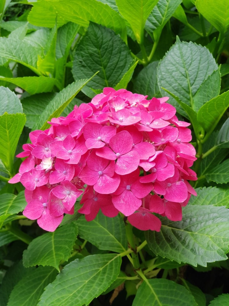 오늘의 산책! 오늘의 산책!