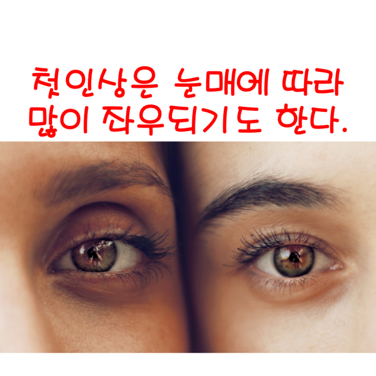  첫인상은 눈매에 따라 많이 좌우되기도 한다.