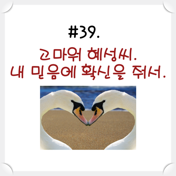  #39. 고마워 혜성 씨. 내 믿음에 확신을 줘서.