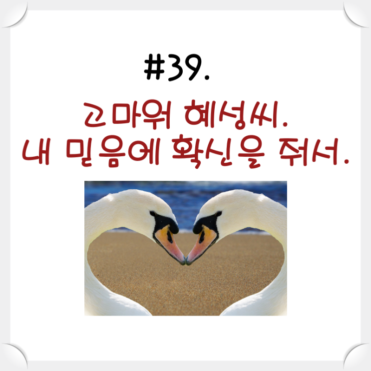 #39. 고마워 혜성 씨. 내 믿음에 확신을 줘서.