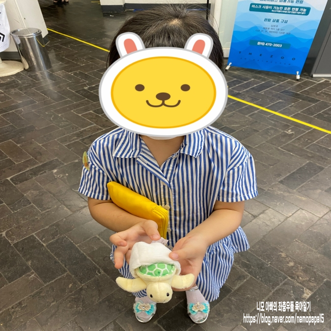 비올 때 가기 좋은 실내 동물원-애니멀 뮤지엄 더 쥬 비올 때 가기 좋은 실내 동물원-애니멀 뮤지엄 더 쥬