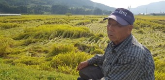 “현장 괴리 ‘농작물재해보험’ 개정해야” “현장 괴리 ‘농작물재해보험’ 개정해야”