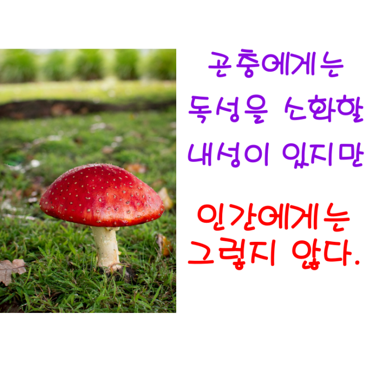  특정 독성에 곤충은 내성을 지녔지만 인간에게는 그렇지 못한 경우가 대부분이다