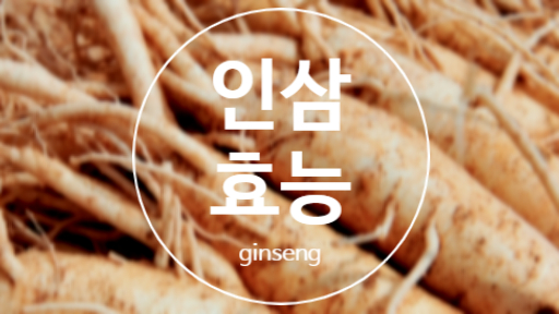  인삼 효능, 노화예방도 가능해요!!