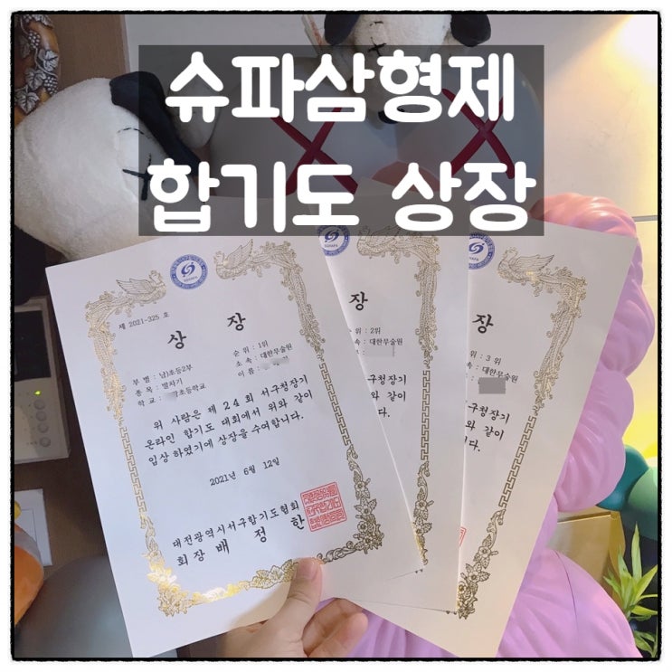  슈파삼형제가 합기도대회에서 상장을 받아왔어요.
