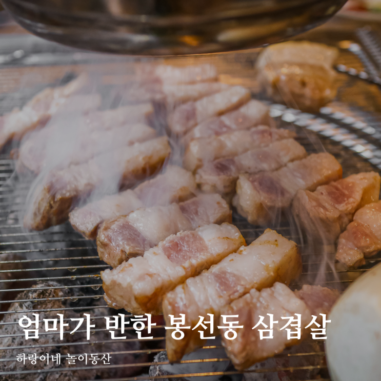 광주 봉선동 삼겹살 맛집 엄마가 반한 고기집, 고집