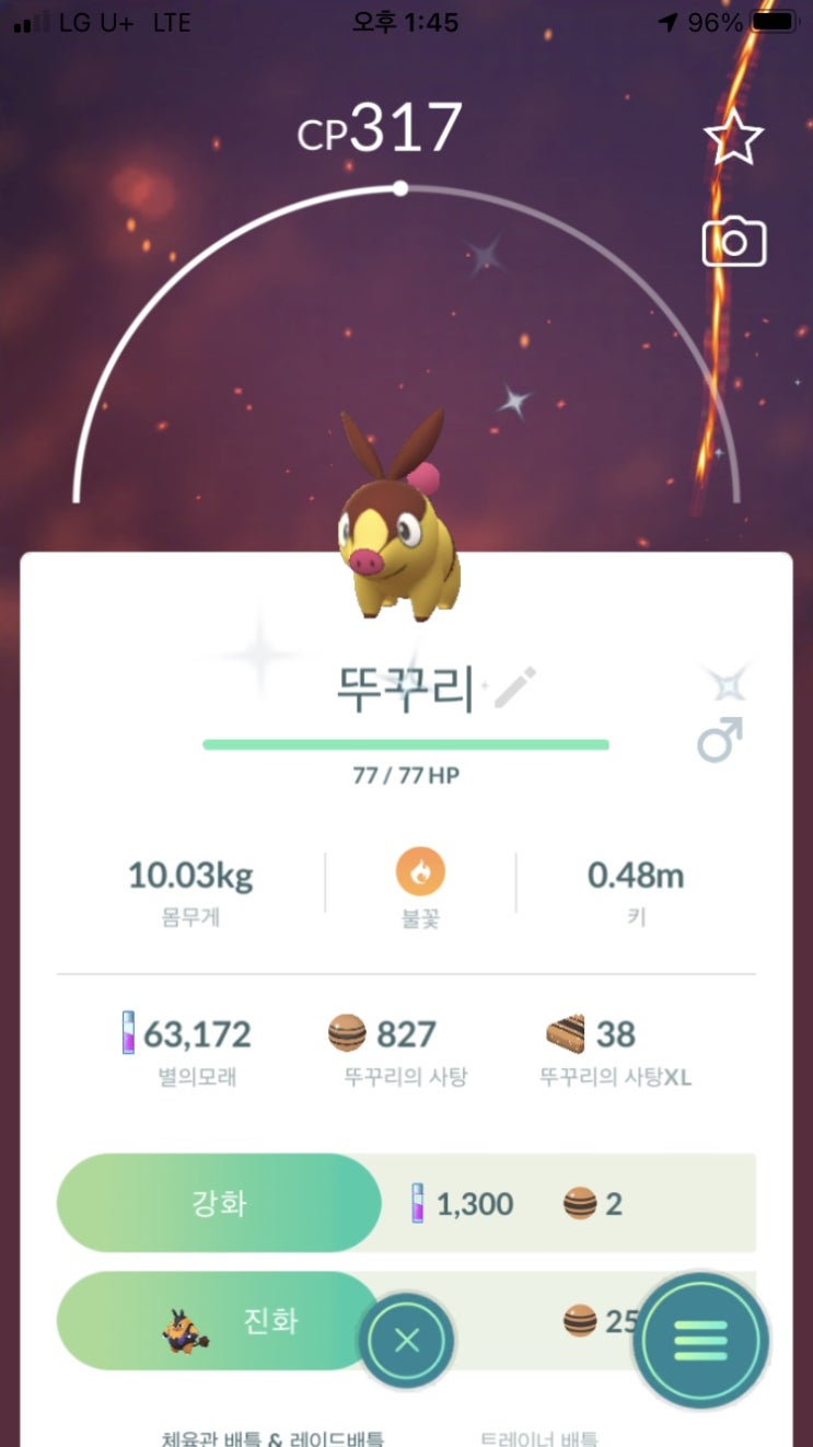  뚜꾸리, 차오꿀, 염무왕 이로치