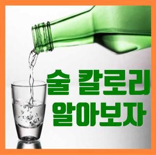  술 칼로리 열량 알아보자(feet. 소주 맥주)