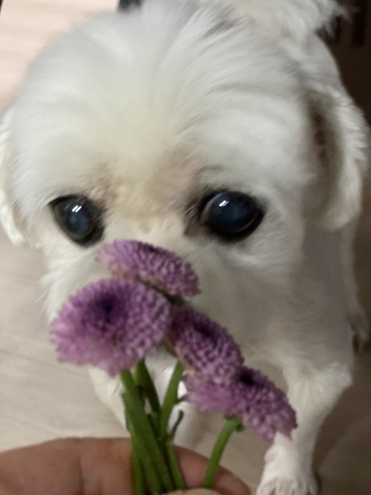  비 오는 주말 오후, 뭐 하면서 보내세요?