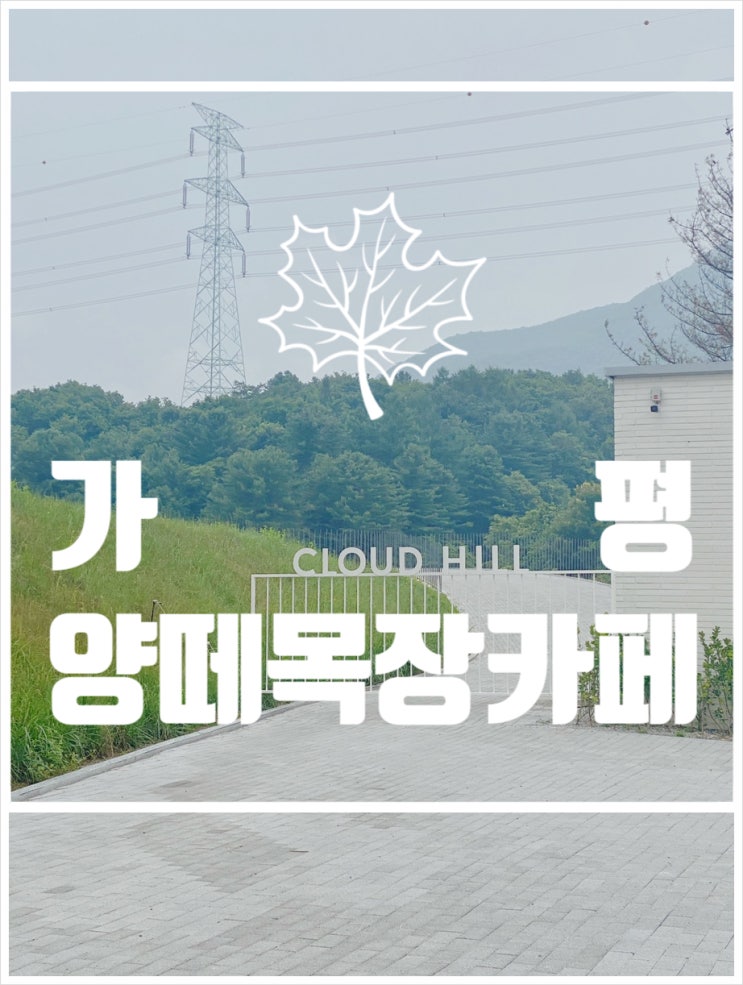  서울근교 드라이브코스로 탁 트인 초원뷰 가평양떼목장