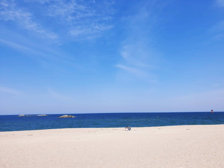  강릉 해변 중 제일 유명한 경포해수욕장 개장