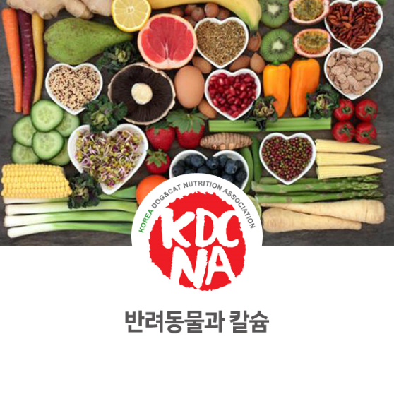  문정숙 펫영양사가 알려주는 반려동물과 칼슘_824 [완자애밥/한국반려동물영양협회/광주/순천/광양/나주/담양/강아지자연식/강아지사료/애견수제간식만들기]