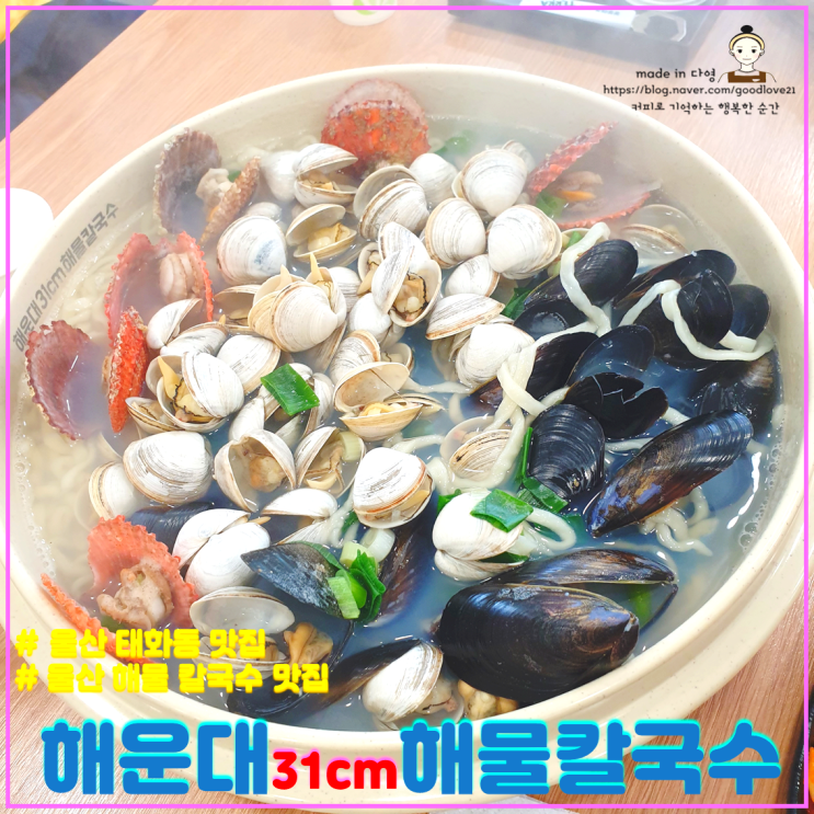  조개양이 어마어마하고 육수맛이 장난아니었던 울산 태화동 맛집 해운대31cm해물칼국수