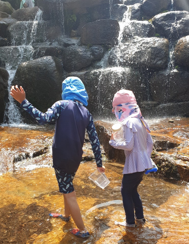  서울 근교 경기도 당일치기 계곡 추천 -과천 향교 계곡 아이들 물놀이 최적화 장소. 배달음식도 가능