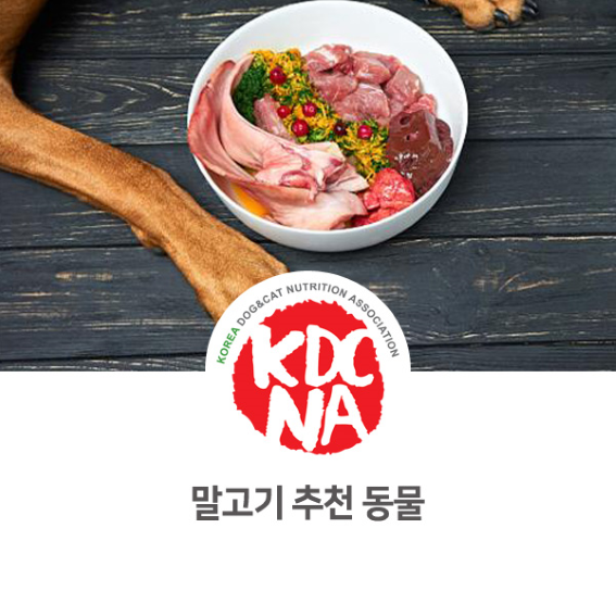  한국반려동물영양협회 이정숙 펫영양사가 알려주는 강아지 고양이 말고기_809 [펫푸드자격증/강아지단백질/강아지음식/강아지알레르기/전주/포항/부산/광주]