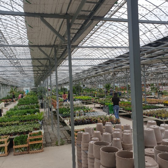 용인 남사화훼단지
