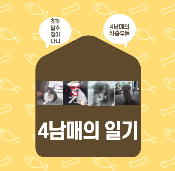  쵸파 달수 청이 애견미용 ~~ fast. 젤리네 하우스