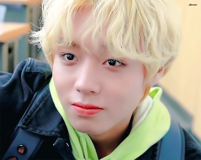  박지훈 멀푸봄 촬영 비하인드 <윙하인드>