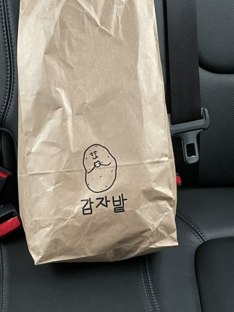  춘천 카페 감자밭 대파빵 존맛