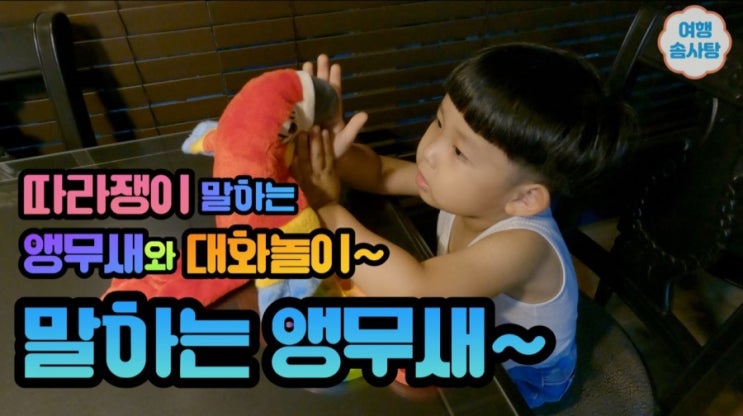  아기 장난감 따라쟁이 말하는 앵무새와 대화놀이 사용 후기