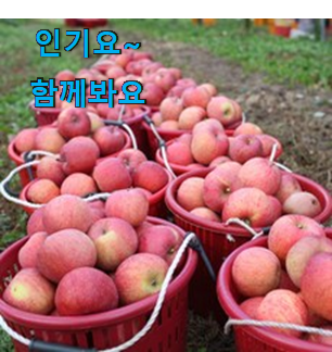입증된 미닛 메이드조이 사과 검색 리스트 소확행으로 만족이에요. 입증된 미닛 메이드조이 사과 검색 리스트 소확행으로 만족이에요.