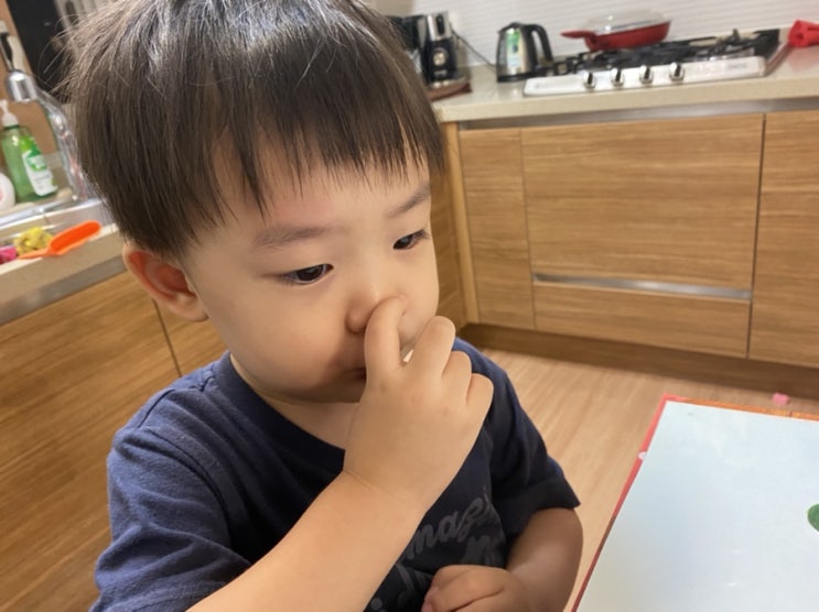  엄마표 책육아 33개월 34개월 아기가 표현할 수 있는 언어 수준