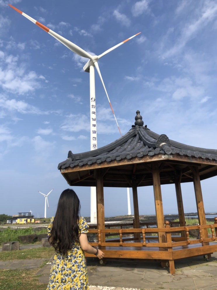  0701 제주4일차 ( 신창풍차해안도로, 인스밀, 카페동경앤책방, 항파두리 항몽유적지 , 국립제주박물관, 스벅용담점 )